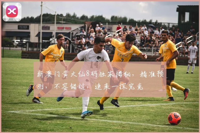 新澳门黄大仙8码独家揭秘，精准预测，不容错过，速来一探究竟