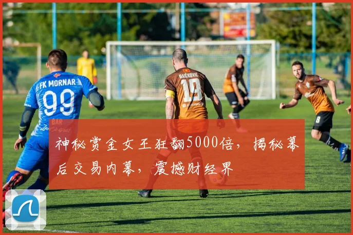 神秘赏金女王狂翻5000倍，揭秘幕后交易内幕，震撼财经界