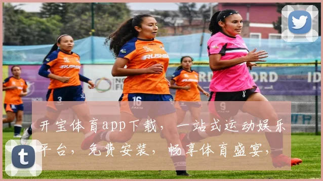开宝体育app下载，一站式运动娱乐平台，免费安装，畅享体育盛宴，不容错过，快来体验