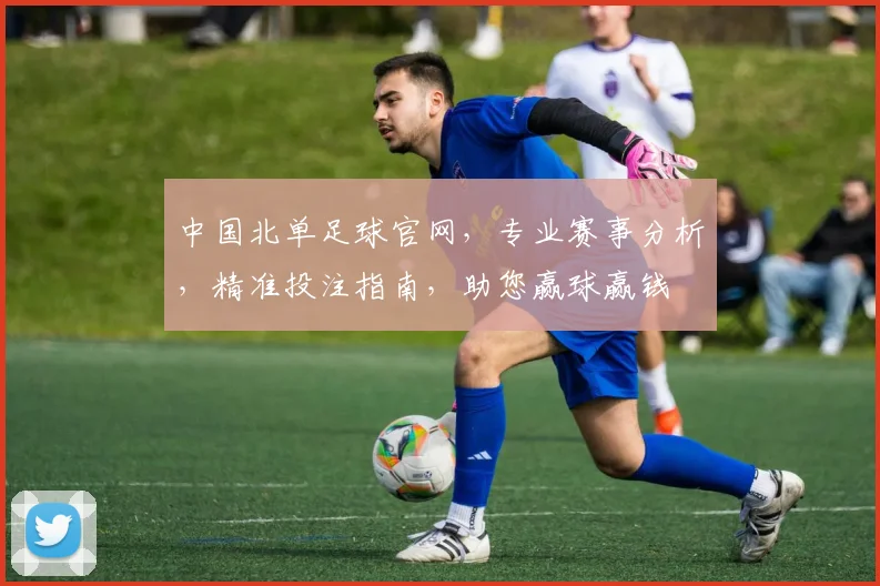 中国北单足球官网，专业赛事分析，精准投注指南，助您赢球赢钱