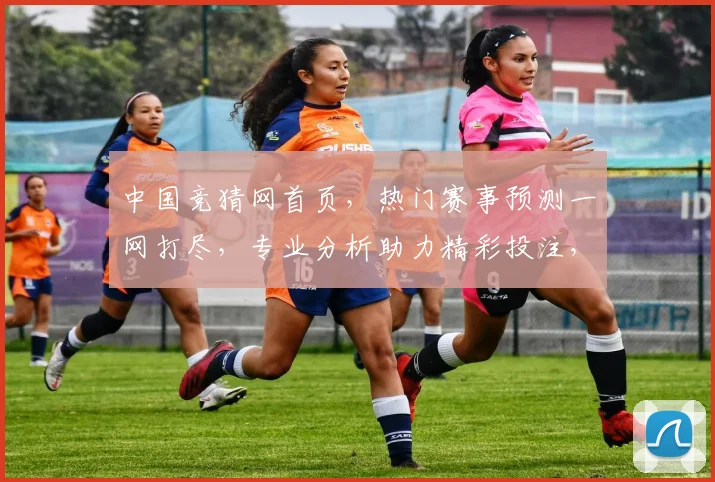 中国竞猜网首页，热门赛事预测一网打尽，专业分析助力精彩投注，惊喜不断，尽在掌握