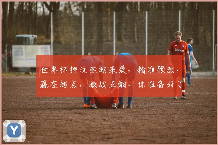 世界杯押注热潮来袭，精准预测，赢在起点，激战正酣，你准备好了吗，