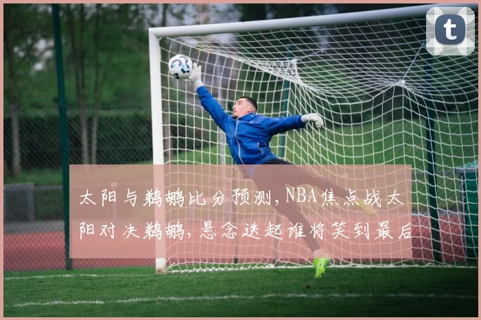 太阳与鹈鹕比分预测,NBA焦点战太阳对决鹈鹕,悬念迭起谁将笑到最后